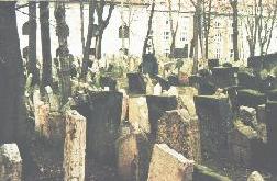 Gamla judiska kyrkogården